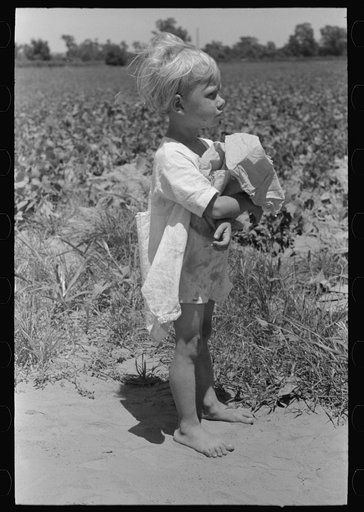 Child of white agricultural day laborer in string bean field near Muskogee, Oklahoma