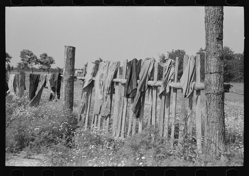 Clothes of white agricultural day laborer's family drying on the fence, north of Sallisaw, Sequoyah County, Oklahoma