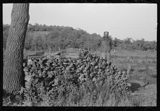 Untitled photo, possibly related to: Pile of stove wood of Indian agricultural day laborer, preparing for winter, McIntosh County, Oklahoma