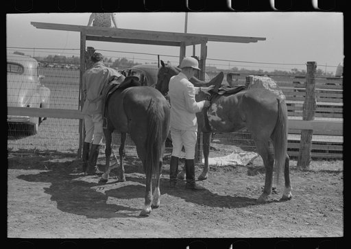 Harnessing ponies before polo match, Abilene, Texas
