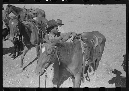 Untitled photo, possibly related to: Cowboy saddling horse. Roundup near Marfa, Texas