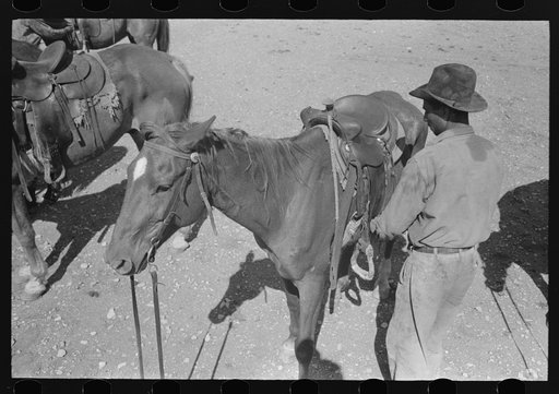 Untitled photo, possibly related to: Cowboy saddling horse. Roundup near Marfa, Texas