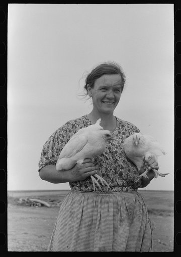 Mrs. Shoenfeldt, wife of FSA (Farm Security Administration) client, Sheridan County, Kansas. Chickens are an important part of live at home program for this family
