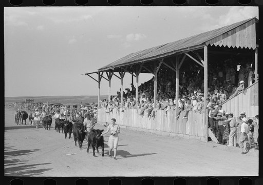 Parade of the champions by 4-H Club members at 4-H Club fair, Cimarron, Kansas