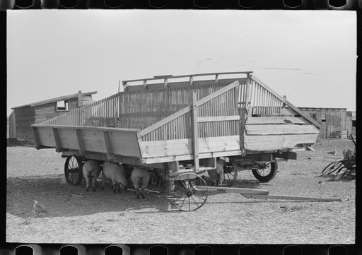 Hay wagons on farm in Sheridan County, Kansas