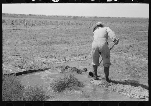 Untitled photo, possibly related to: Mr. Johnson, FSA (Farm Security Administration) client with part interest in cooperative well, irrigating his fields near Syracuse, Kansas