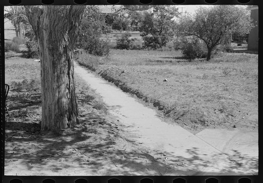 Untitled photo, possibly related to: Sidewalk in Syracuse, Kansas. The level on the ground on either side of the sidewalk was the same as that of the concrete sidewalk a year ago. The raise in elevation is due to dust and dirt which drifted in
