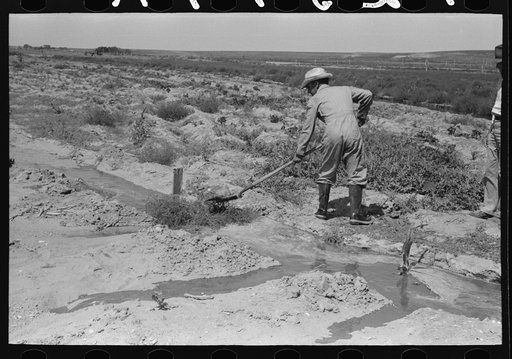 Mr. Johnson, FSA (Farm Security Administration) client with part interest in cooperative well using a makeshift dam of tumbleweeds and board in order to divert water from irrigation ditch to field, Syracuse, Kansas