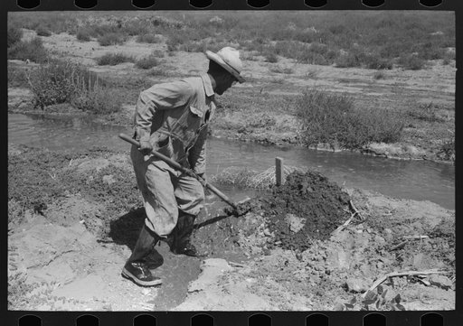 Untitled photo, possibly related to: Mr. Johnson, FSA (Farm Security Administration) client with part interest in cooperative well, using a makeshift dam of tumbleweeds and board in order to divert water from irrigation ditch to field, Syracuse, Kansas