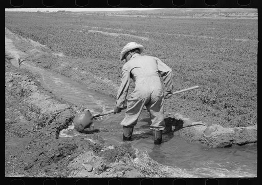 Mr. Johnson, FSA (Farm Security Administration) client with part interest in cooperative well, using a makeshift dam of tumbleweeds and board in order to divert water from irrigation ditch to field, Syracuse, Kansas
