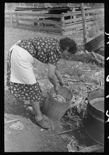 Spanish-American FSA (Farm Security Administration) client breaking up solidified grease before using it in soap making, Taos County, New Mexico.