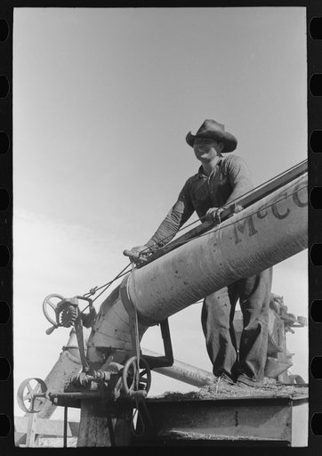 Untitled photo, possibly related to: Threshing wheat, Taos County, New Mexico