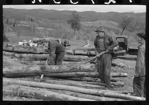 Farmers snaking out a log from a pile of timber on farm near Bradford, Vermont