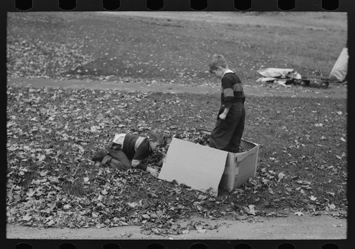 Boys gathering leaves into cardboard box. Front lawn in Bradford, Vermont
