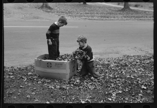 Untitled photo, possibly related to: Boys gathering leaves into cardboard box. Front lawn in Bradford, Vermont