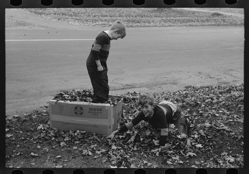 Untitled photo, possibly related to: Boys gathering leaves into cardboard box. Front lawn in Bradford, Vermont