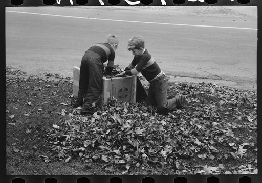 Boys gathering leaves into cardboard box. Front lawn in Bradford, Vermont