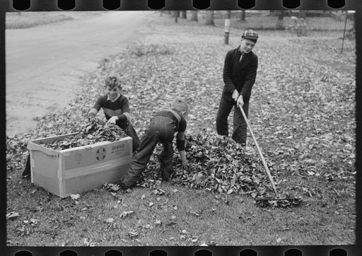 Boy raking up leaves on front lawn, Bradford, Vermont