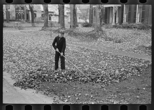Boy raking and gathering leaves on front lawn, Bradford, Vermont