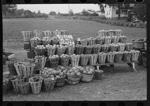 Roadside display of pumpkins and turnips and other vegetables near Berlin, Connecticut