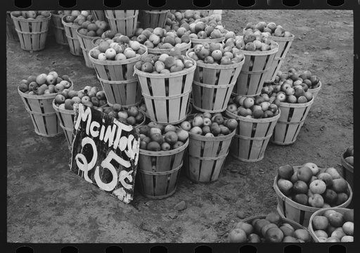 McIntosh apples displayed at roadside stand near Berlin, Connecticut