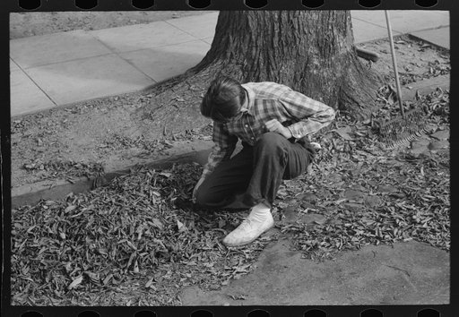 Boy getting ready to burn leaves, Meriden, Connecticut