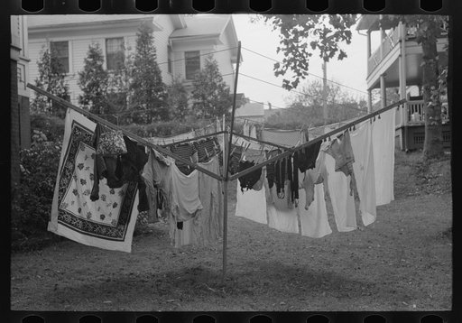 Clothes hanging on drying tree in backyard, Meriden, Connecticut