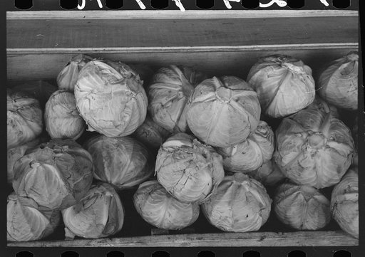 Cabbages at roadside stand near Greenfield, Massachusetts