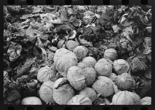 Cabbages and discarded outer leaves. Market near Greenfield, Massachusetts