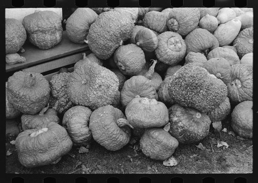 Pumpkins at market near Greenfield, Massachusetts