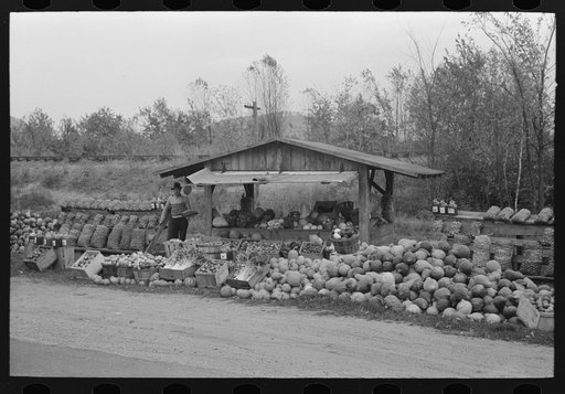 Roadside stand near Greenfield, Massachusetts