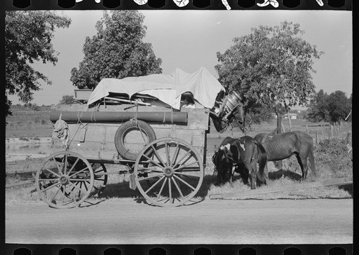 Farmer moving in wagon from farm to a new farm. He had stopped for rest and repair along roadside in Smith County, Texas