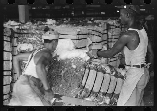 Negro man slashes bale of cotton to take sample as it passes him on a hand truck. Cotton compress, Houston, Texas
