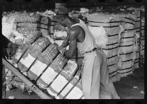 Untitled photo, possibly related to: Negro man slashes bale of cotton to take sample as it passes him on a hand truck. Cotton compress, Houston, Texas