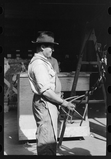 Untitled photo, possibly related to: Putting grappling hooks on bale of cotton. The bale will be weighed as it swings in the air, suspended by these hooks. Cotton compress, Houston, Texas