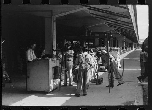 Untitled photo, possibly related to: Putting grappling hooks on bale of cotton. The bale will be weighed as it swings in the air, suspended by these hooks. Cotton compress, Houston, Texas