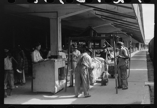 Untitled photo, possibly related to: Putting grappling hooks on bale of cotton. The bale will be weighed as it swings in the air, suspended by these hooks. Cotton compress, Houston, Texas
