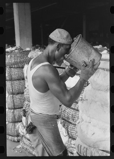 Negro worker at cotton compress taking a drink of water from bucket, Houston, Texas