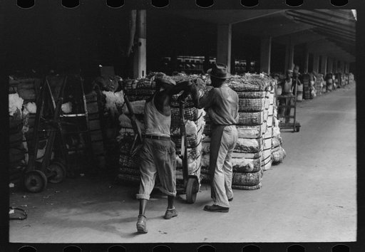 Untitled photo, possibly related to: Putting grappling hooks on bale of cotton. The bale will be weighed as it swings in the air, suspended by these hooks. Cotton compress, Houston, Texas