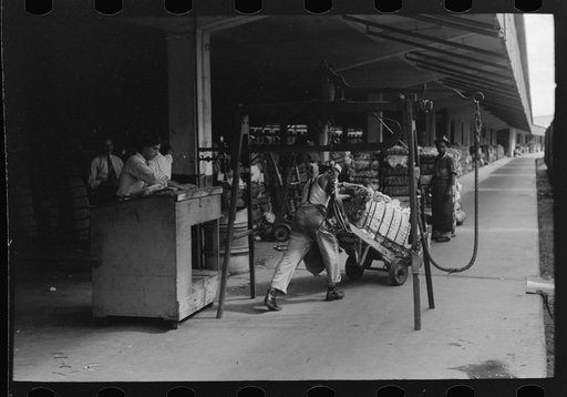Untitled photo, possibly related to: Unloading bale of cotton from freight car. Cotton compress, Houston, Texas