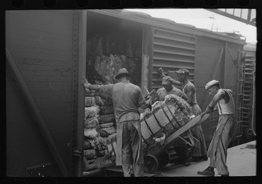Unloading bale of cotton from freight car. Cotton compress, Houston, Texas