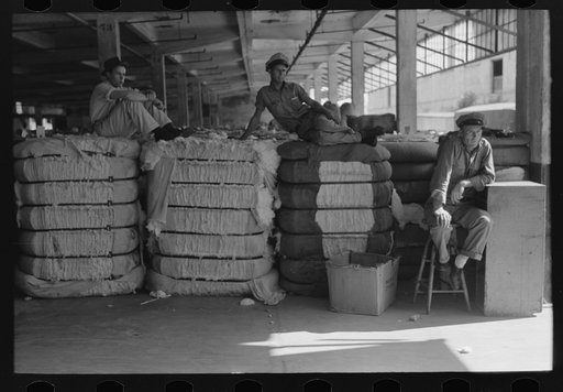 Untitled photo, possibly related to: Loading bale of cotton onto hand truck at platform. Cotton compress, Houston, Texas