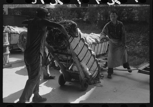 Untitled photo, possibly related to: Loading bale of cotton onto hand truck at platform. Cotton compress, Houston, Texas