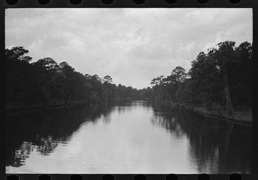 Untitled photo, possibly related to: Trees and moss along the bayou, Port of Houston, Houston, Texas