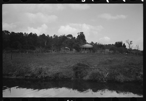 Untitled photo, possibly related to: Trees and moss along the bayou, Port of Houston, Houston, Texas