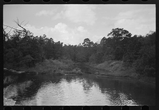 Untitled photo, possibly related to: Trees and moss along the bayou, Port of Houston, Houston, Texas