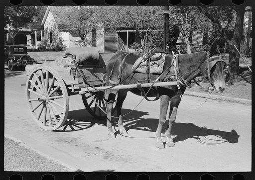 Horse and wagon, Taylor, Texas