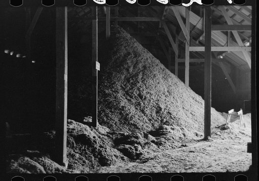 Untitled photo, possibly related to: Pile of cotton seed hulls, cotton seed oil mill, Waco, Texas