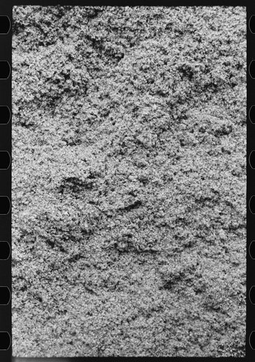 Cotton seed hulls, Waco, Texas