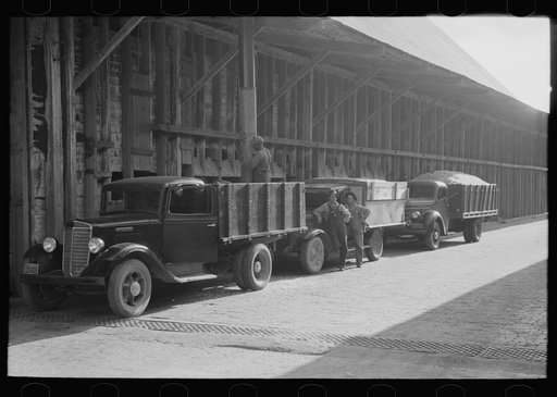 Unloading cotton seed at cotton seed oil mill, Waco, Texas